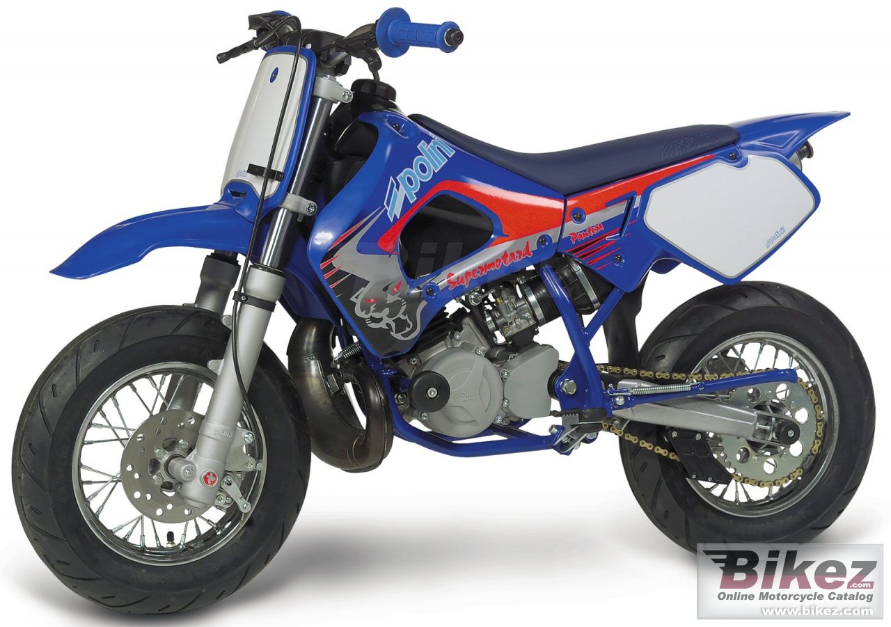 Big Polini mini supermotard picture and wallpaper from Bikez.com